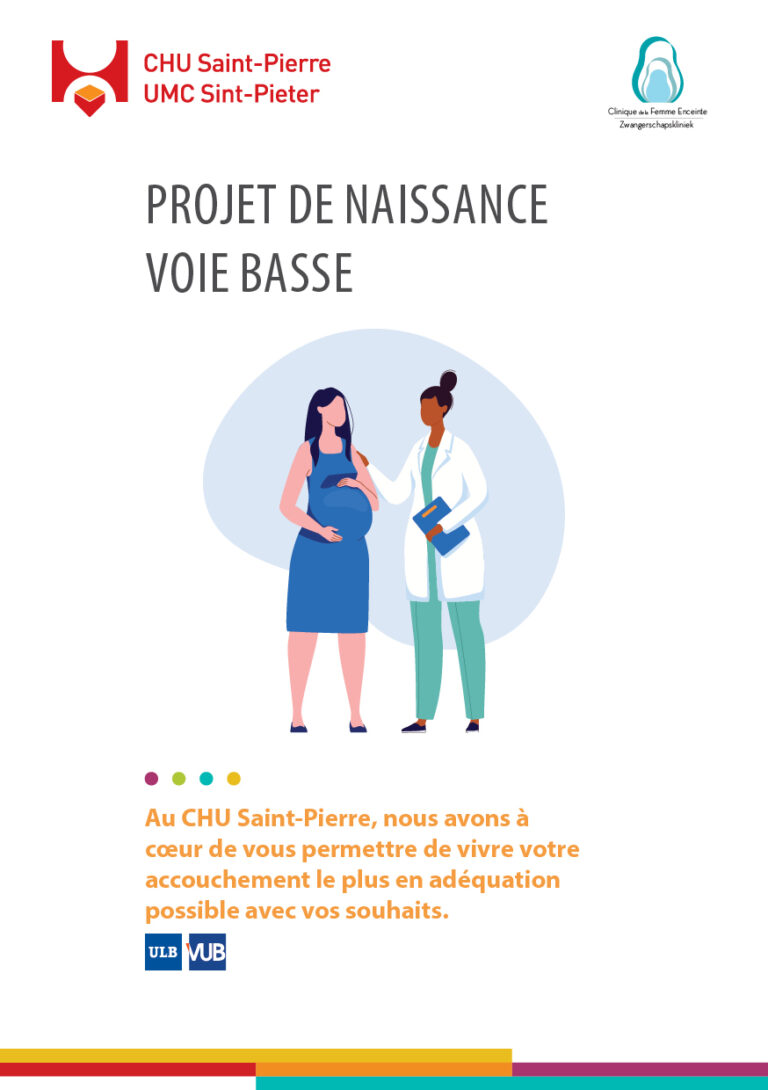 Projet naissance Voie Basse