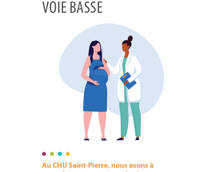 Projet naissance Voie Basse